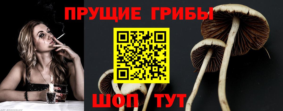 Октябрьский  Галлюциногенные грибы прущие грибы  Вход с VPN 